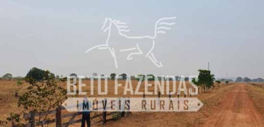Fazenda 83.400 hectares Pecuária No Coração do Brasil | São Félix do Araguaia/MT