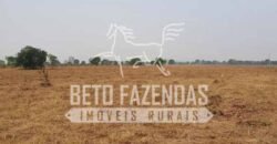 Fazenda 83.400 hectares Pecuária No Coração do Brasil | São Félix do Araguaia/MT
