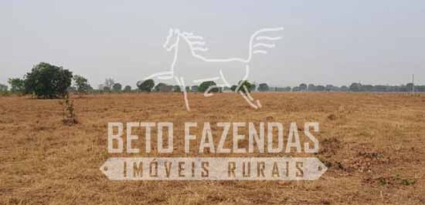 Fazenda 83.400 hectares Pecuária No Coração do Brasil | São Félix do Araguaia/MT