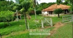 Fazenda 83.400 hectares Pecuária No Coração do Brasil | São Félix do Araguaia/MT