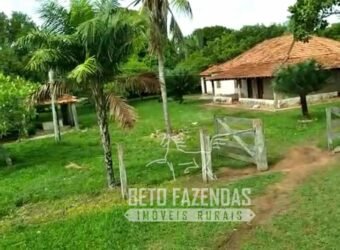 Fazenda 83.400 hectares Pecuária No Coração do Brasil | São Félix do Araguaia/MT