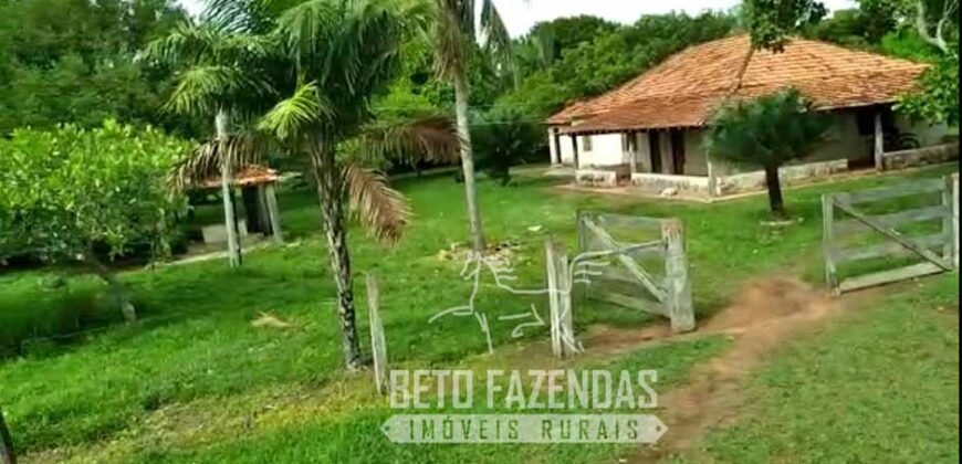 Fazenda 83.400 hectares Pecuária No Coração do Brasil | São Félix do Araguaia/MT