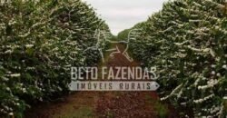 Fazenda de Café Excepcional à Venda 970 has Infraestrutura Completa | Montes Claros/ MG Fazenda de Café Excepcional à Venda 970 has Infraestrutura Completa | Montes Claros/ MG