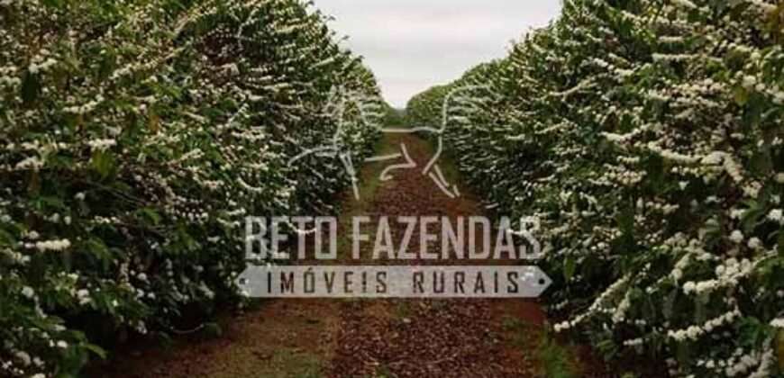 Fazenda de Café Excepcional à Venda 970 has Infraestrutura Completa | Montes Claros/ MG Fazenda de Café Excepcional à Venda 970 has Infraestrutura Completa | Montes Claros/ MG