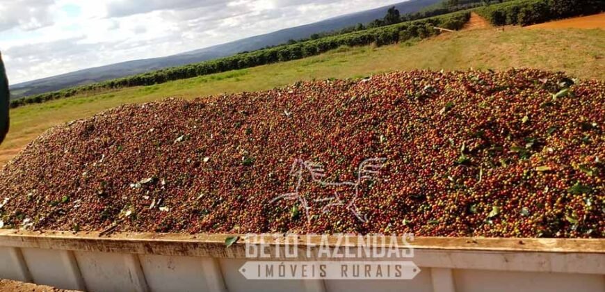 Fazenda de Café Excepcional à Venda 970 has Infraestrutura Completa | Montes Claros/ MG Fazenda de Café Excepcional à Venda 970 has Infraestrutura Completa | Montes Claros/ MG