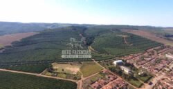 Fazenda de Café Excepcional à Venda 970 has Infraestrutura Completa | Montes Claros/ MG Fazenda de Café Excepcional à Venda 970 has Infraestrutura Completa | Montes Claros/ MG