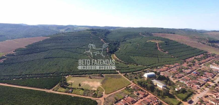 Fazenda de Café Excepcional à Venda 970 has Infraestrutura Completa | Montes Claros/ MG Fazenda de Café Excepcional à Venda 970 has Infraestrutura Completa | Montes Claros/ MG