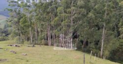 Fazenda à Venda 435 hectares Investimento em Turismo Rural e Produção | Nova Friburgo/ RJ