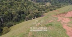 Fazenda à Venda 435 hectares Investimento em Turismo Rural e Produção | Nova Friburgo/ RJ