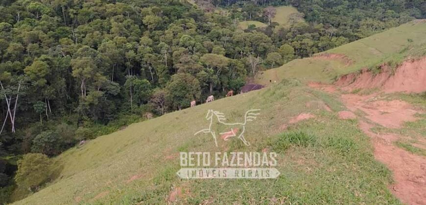 Fazenda à Venda 435 hectares Investimento em Turismo Rural e Produção | Nova Friburgo/ RJ