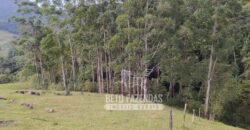 Fazenda à Venda 435 hectares Investimento em Turismo Rural e Produção | Nova Friburgo/ RJ