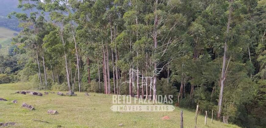 Fazenda à Venda 435 hectares Investimento em Turismo Rural e Produção | Nova Friburgo/ RJ