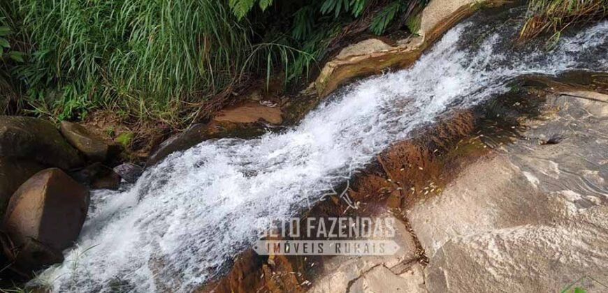 Fazenda à Venda 435 hectares Investimento em Turismo Rural e Produção | Nova Friburgo/ RJ