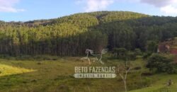 Fazenda à Venda 435 hectares Investimento em Turismo Rural e Produção | Nova Friburgo/ RJ