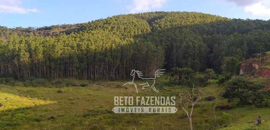 Fazenda à Venda 435 hectares Investimento em Turismo Rural e Produção | Nova Friburgo/ RJ