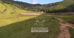 Fazenda à Venda 435 hectares Investimento em Turismo Rural e Produção | Nova Friburgo/ RJ