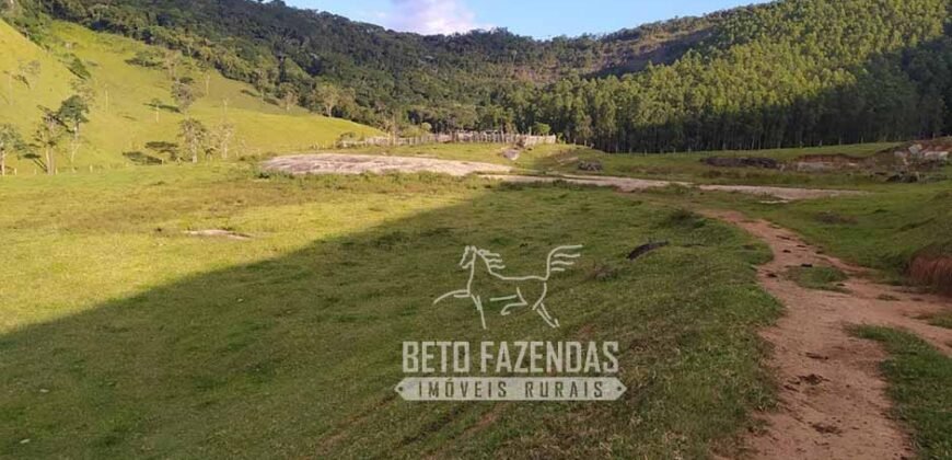 Fazenda à Venda 435 hectares Investimento em Turismo Rural e Produção | Nova Friburgo/ RJ