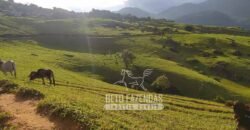 Fazenda à Venda 435 hectares Investimento em Turismo Rural e Produção | Nova Friburgo/ RJ