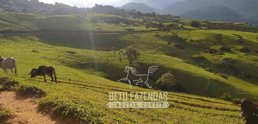 Fazenda à Venda 435 hectares Investimento em Turismo Rural e Produção | Nova Friburgo/ RJ