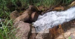 Fazenda à Venda 435 hectares Investimento em Turismo Rural e Produção | Nova Friburgo/ RJ