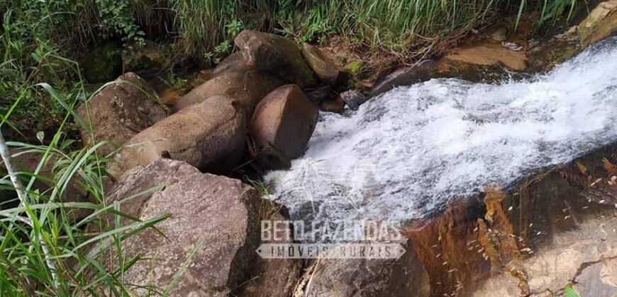 Fazenda à Venda 435 hectares Investimento em Turismo Rural e Produção | Nova Friburgo/ RJ