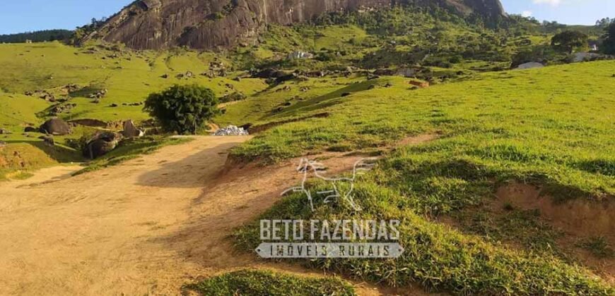 Fazenda à Venda 435 hectares Investimento em Turismo Rural e Produção | Nova Friburgo/ RJ