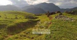 Fazenda à Venda 435 hectares Investimento em Turismo Rural e Produção | Nova Friburgo/ RJ