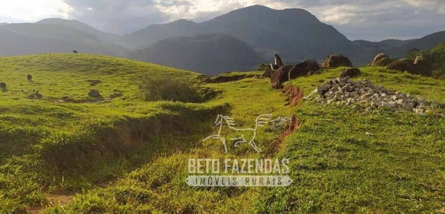 Fazenda à Venda 435 hectares Investimento em Turismo Rural e Produção | Nova Friburgo/ RJ