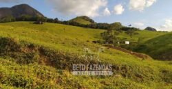 Fazenda à Venda 435 hectares Investimento em Turismo Rural e Produção | Nova Friburgo/ RJ