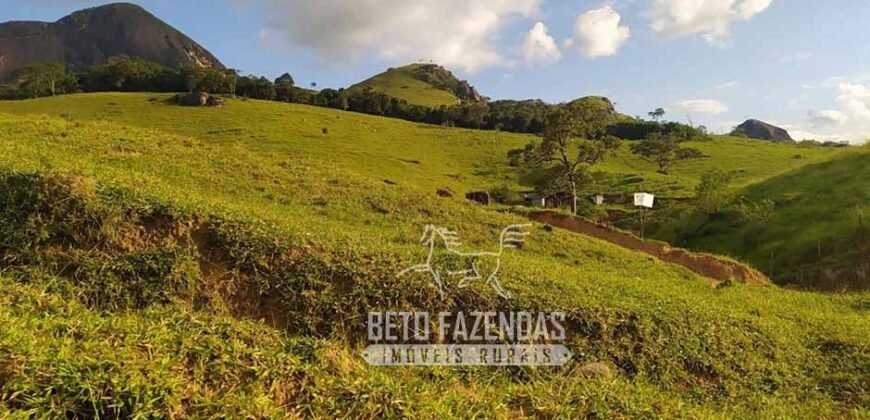 Fazenda à Venda 435 hectares Investimento em Turismo Rural e Produção | Nova Friburgo/ RJ