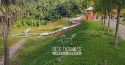 Fazenda à Venda 435 hectares Investimento em Turismo Rural e Produção | Nova Friburgo/ RJ