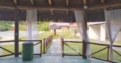 Fazenda à Venda 435 hectares Investimento em Turismo Rural e Produção | Nova Friburgo/ RJ