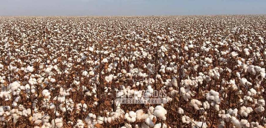 Fazenda à Venda 24.433 hectares Soja e Algodão com Arrendamento | Nova Mutum/ MT