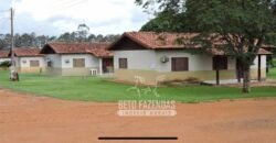 Fazenda à Venda 24.433 hectares Soja e Algodão com Arrendamento | Nova Mutum/ MT