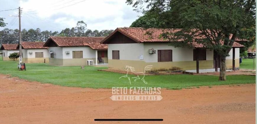 Fazenda à Venda 24.433 hectares Soja e Algodão com Arrendamento | Nova Mutum/ MT