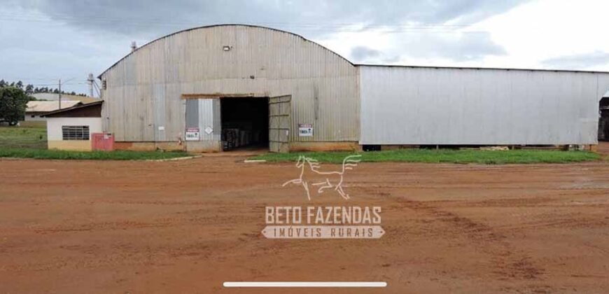 Fazenda à Venda 24.433 hectares Soja e Algodão com Arrendamento | Nova Mutum/ MT