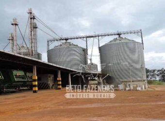 Fazenda à Venda 24.433 hectares Soja e Algodão com Arrendamento | Nova Mutum/ MT
