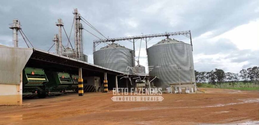 Fazenda à Venda 24.433 hectares Soja e Algodão com Arrendamento | Nova Mutum/ MT