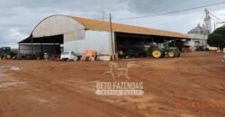 Fazenda à Venda 24.433 hectares Soja e Algodão com Arrendamento | Nova Mutum/ MT