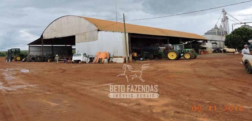 Fazenda à Venda 24.433 hectares Soja e Algodão com Arrendamento | Nova Mutum/ MT