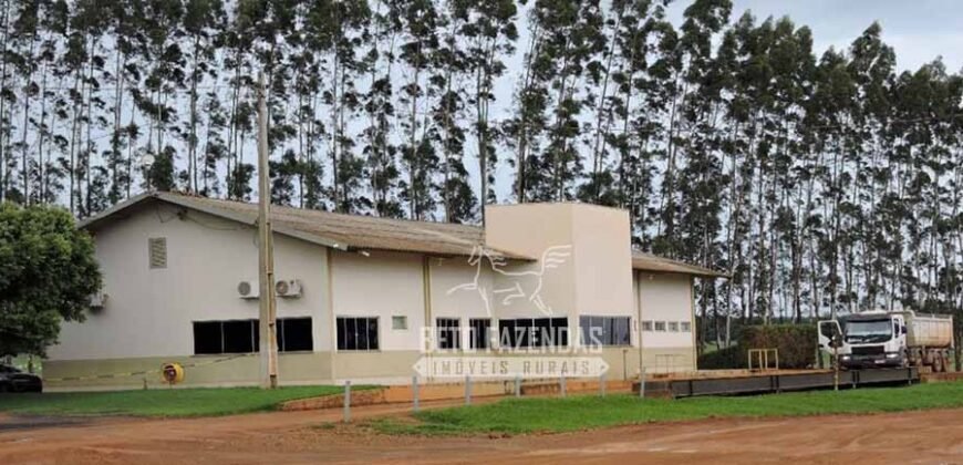 Fazenda à Venda 24.433 hectares Soja e Algodão com Arrendamento | Nova Mutum/ MT