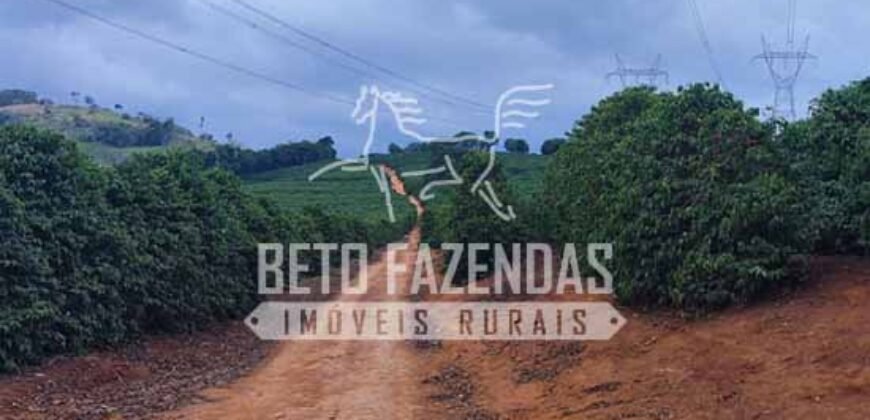 Fazenda de Café 41 hectares Alta Produtividade à Venda | Três Pontas/ MG
