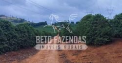 Fazenda de Café 48 hectares Alta Produtividade à Venda | Três Pontas/ MG Fazenda de Café 48 hectares Alta Produtividade à Venda | Três Pontas/ MG