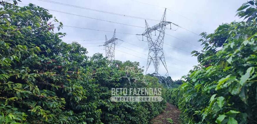 Fazenda de Café 41 hectares Alta Produtividade à Venda | Três Pontas/ MG