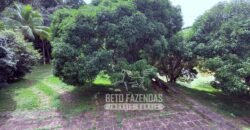 Fazenda à Venda 217 Has Linda Casa Sede para Turismo e Lazer | Piraí/ RJ Fazenda à Venda 217 Has Linda Casa Sede para Turismo e Lazer | Piraí/ RJ