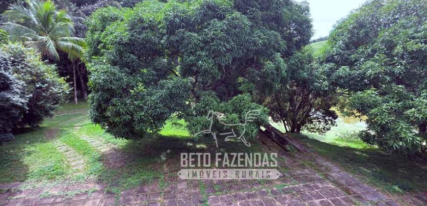 Fazenda à Venda 217 Has Linda Casa Sede para Turismo e Lazer | Piraí/ RJ Fazenda à Venda 217 Has Linda Casa Sede para Turismo e Lazer | Piraí/ RJ
