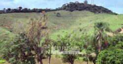 Fazenda à Venda 217 Has Linda Casa Sede para Turismo e Lazer | Piraí/ RJ Fazenda à Venda 217 Has Linda Casa Sede para Turismo e Lazer | Piraí/ RJ