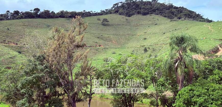 Fazenda à Venda 217 Has Linda Casa Sede para Turismo e Lazer | Piraí/ RJ Fazenda à Venda 217 Has Linda Casa Sede para Turismo e Lazer | Piraí/ RJ