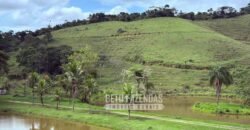 Fazenda à Venda 217 Has Linda Casa Sede para Turismo e Lazer | Piraí/ RJ Fazenda à Venda 217 Has Linda Casa Sede para Turismo e Lazer | Piraí/ RJ