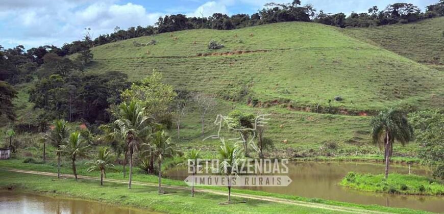 Fazenda à Venda 217 Has Linda Casa Sede para Turismo e Lazer | Piraí/ RJ Fazenda à Venda 217 Has Linda Casa Sede para Turismo e Lazer | Piraí/ RJ